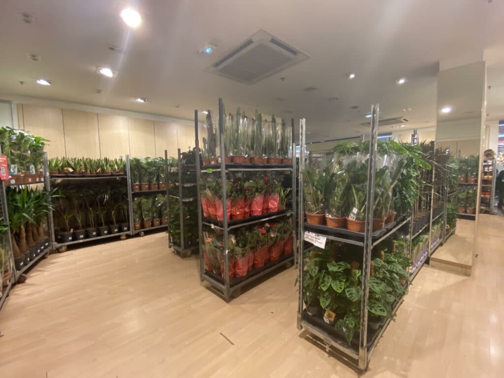 plante-pour-tous-reims